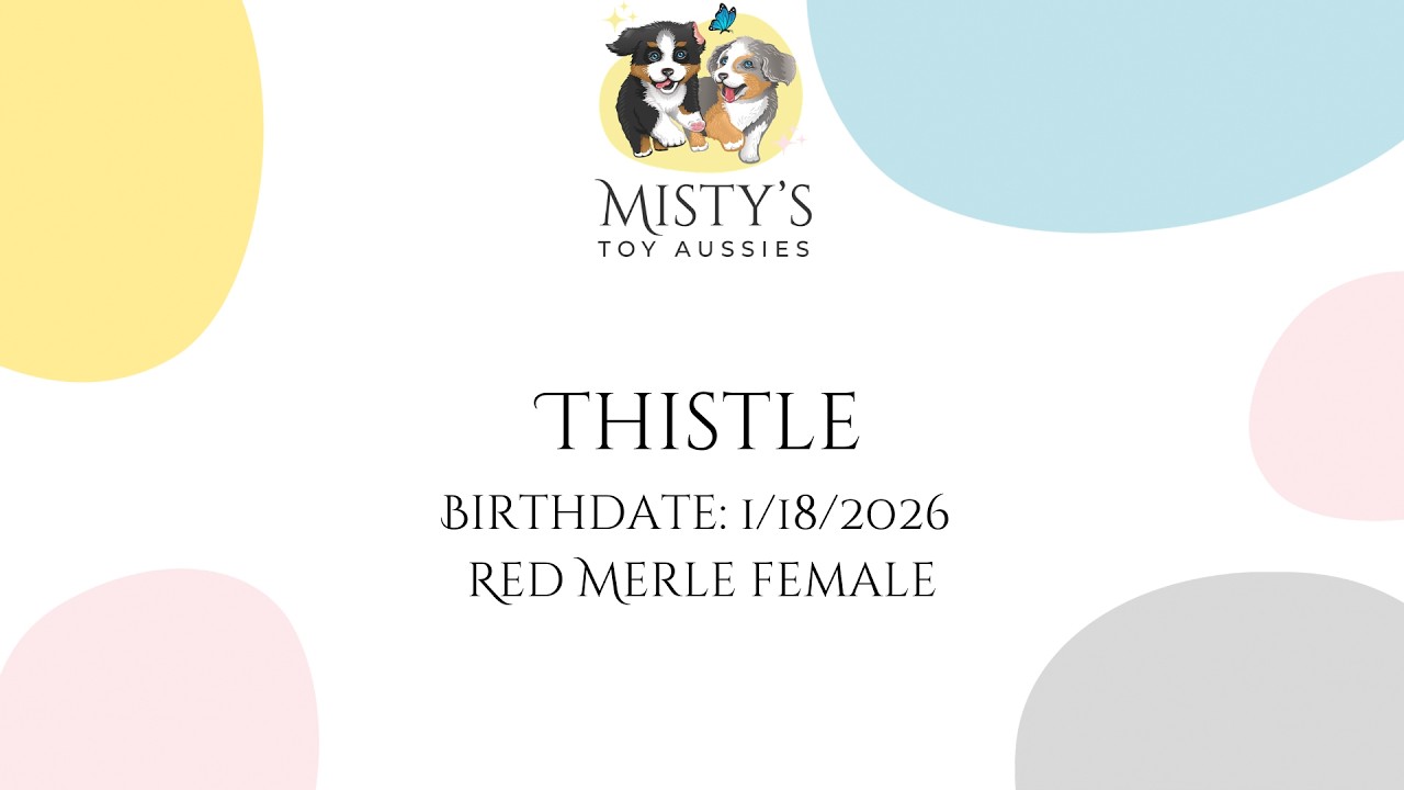 Thistle