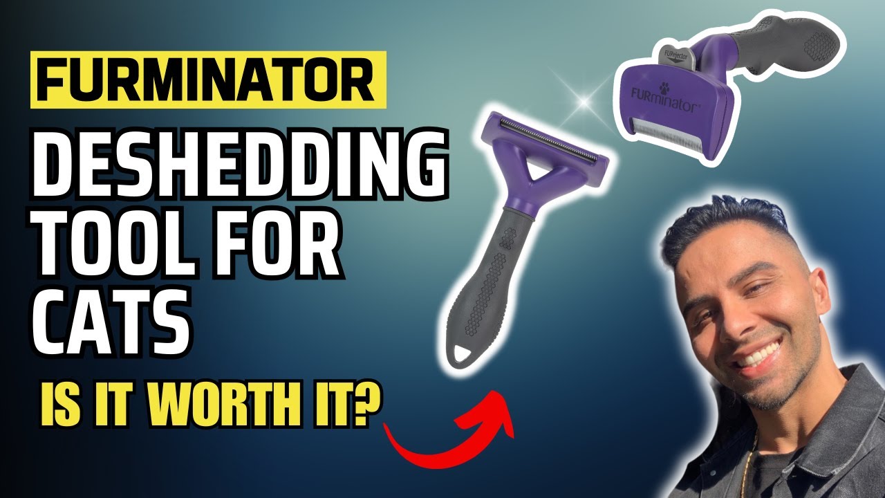 FURminator deShedding Tool Review: Best for Medium/Large Long-Haired Cats Under $35! Deshed Shedding