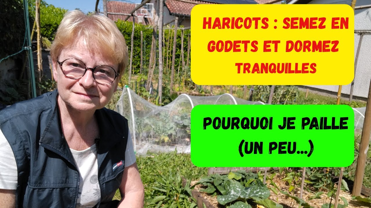 POUR UNE REUSSITE ASSUREE, SEMEZ VOS HARICOTS EN GODETS!