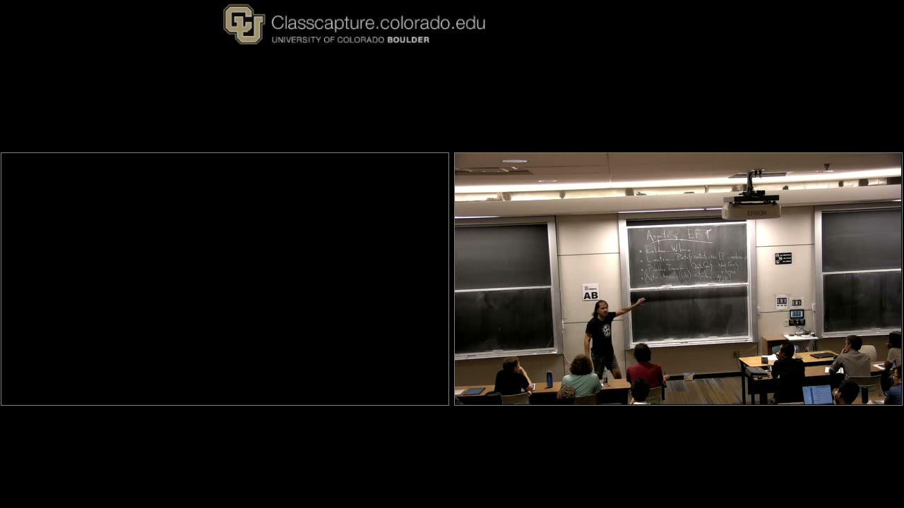 Nima Arkani-Hamed - Effective Field Theory 1
