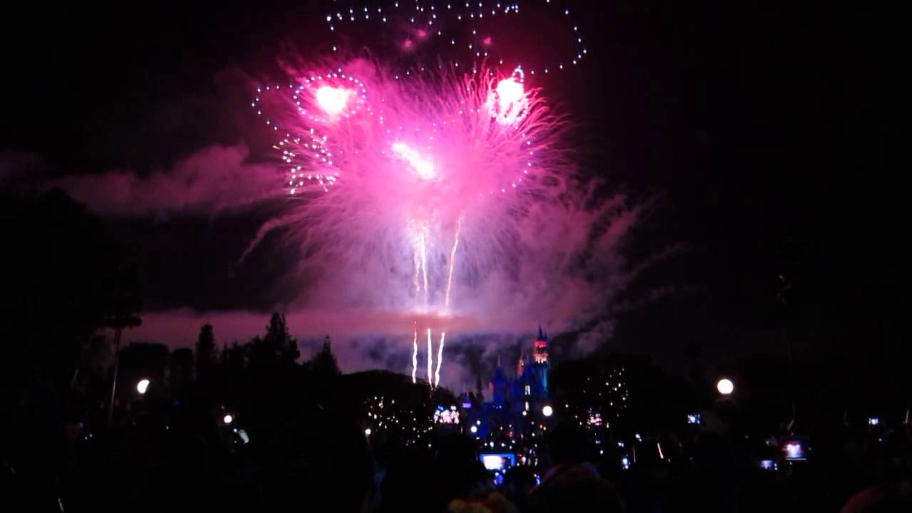 Disneyland New Years 2014