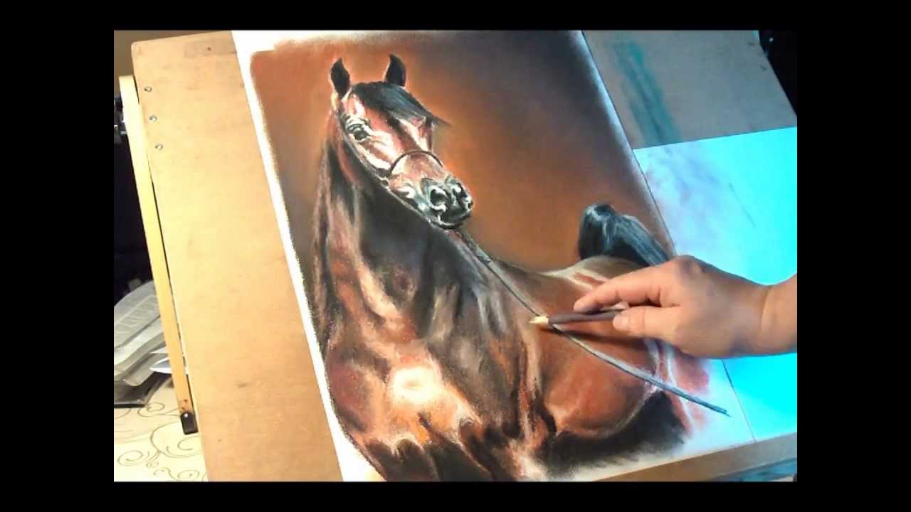 Fast drawing - arabian stallion in soft pastel.wmv