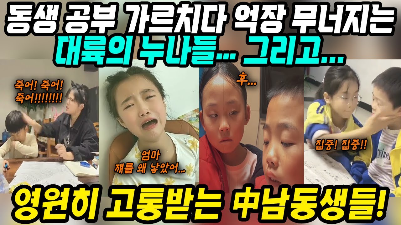 중국이슈│동생 공부 가르치다 억장 무너지는 대륙의 누나들│형제자매끼리 과외 절대금지│동생 숙제봐주다 조회수 대박난 영상! 참을성 누나와 파워 누나의 살벌한 과외 현장│중국어로[路]