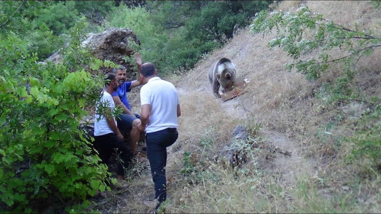Kamp ve piknik alanına gelmeyi alışkanlık haline getirdi