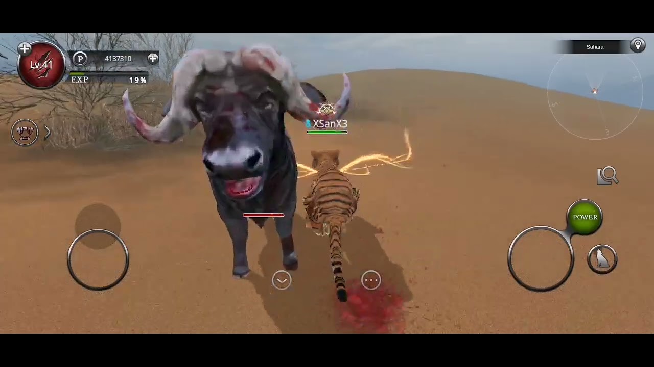 First time recording wao#viralvideo #wolfonline2 #wildanimalsonline  bro don't mind the last video