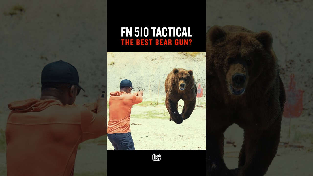 The Best Bear Gun? | FN 510 Tactical