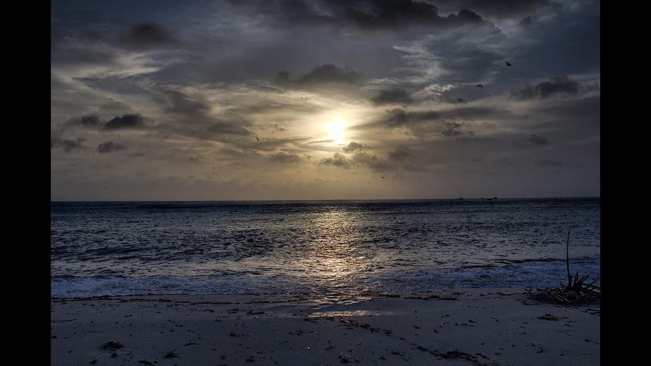Seychellen: Bird Island DaVinci Resolve
