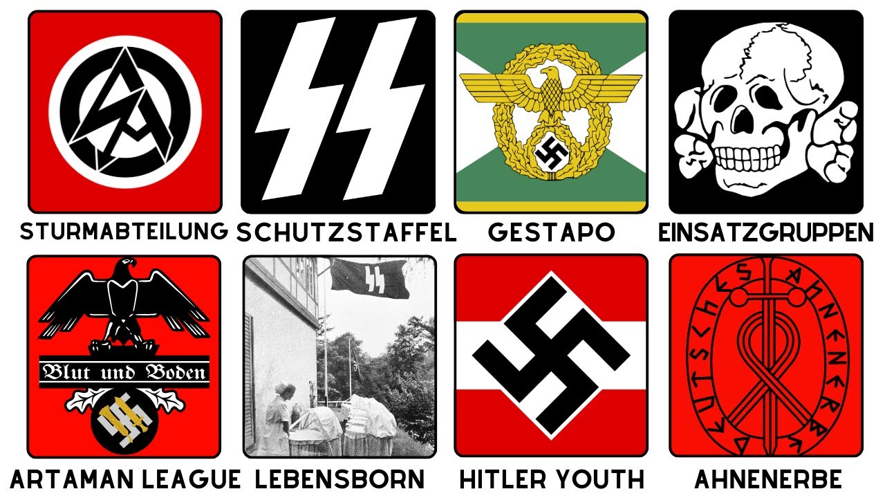 Every Nazi Organization Explained By a German