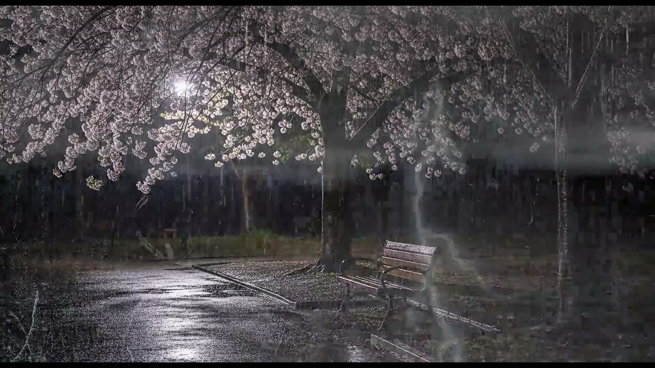 Relax Instantly with Heavy Rain & Deep Thunder for Relaxing