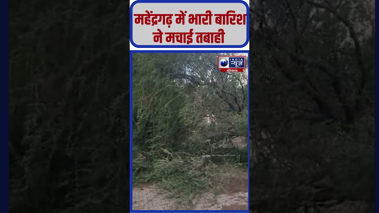 Weather Update: Mahendragarh में भारी बारिश ने मचाई तबाही #indianewsharyana #heavyrain #viralshorts