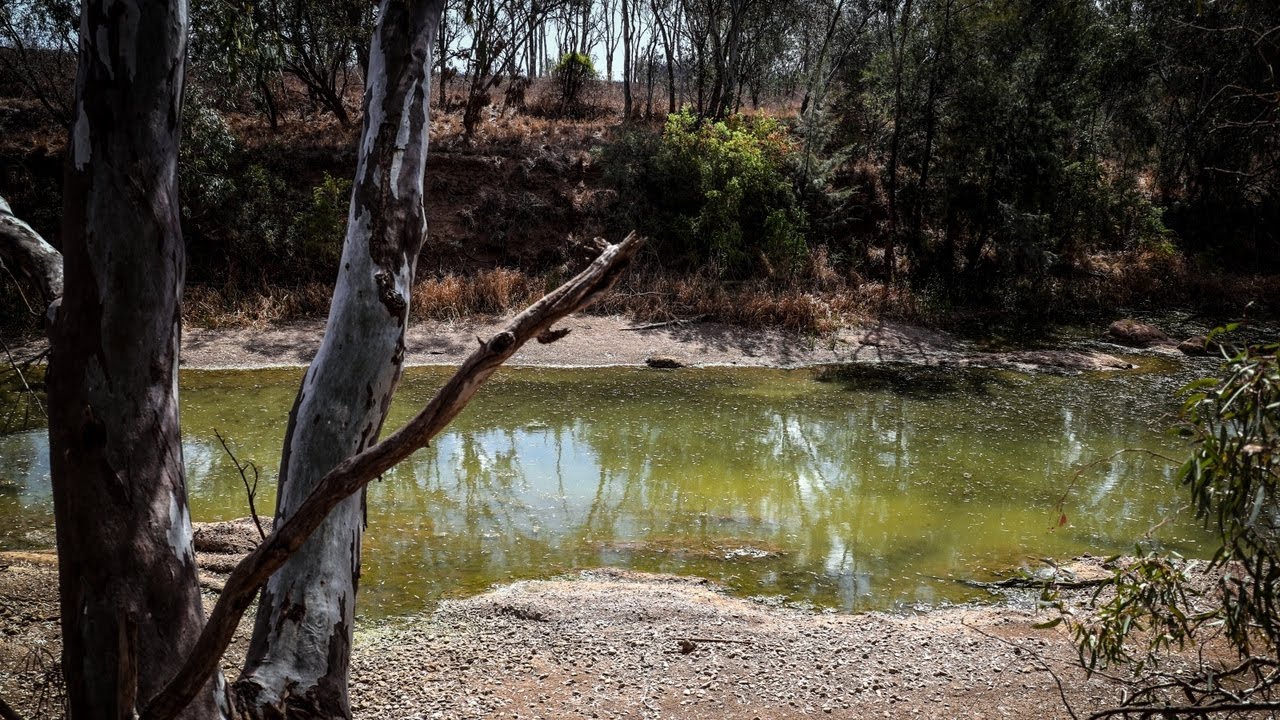 State ministers push back on Murray-Darling water sharing review