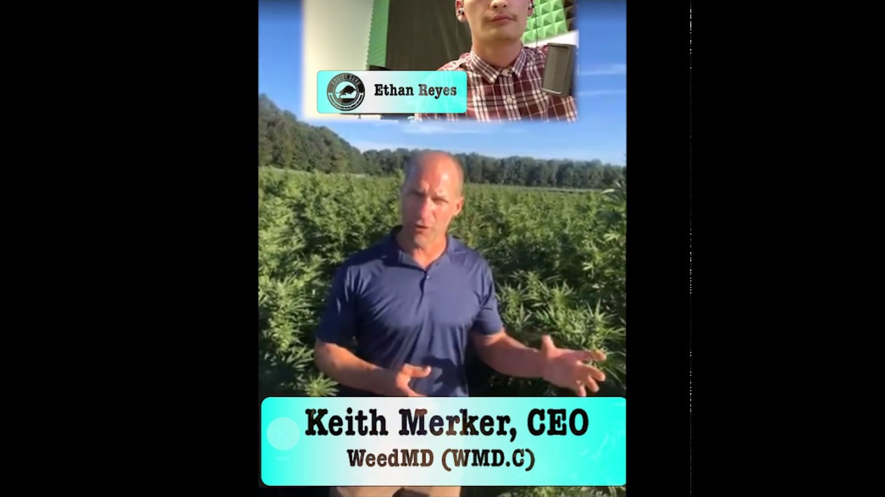 A Closer Look: WeedMD (WMD.C) and how cannabis empires aren't built in a day