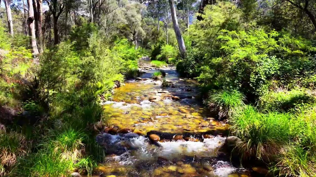 Eurobin Creek Porpunkah