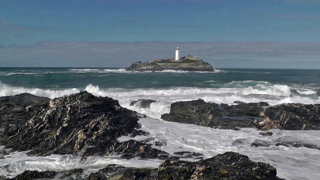 Awesome View of Nature at its Best - Dramatic Video & Sounds of Ocean Waves Crashing The Shore
