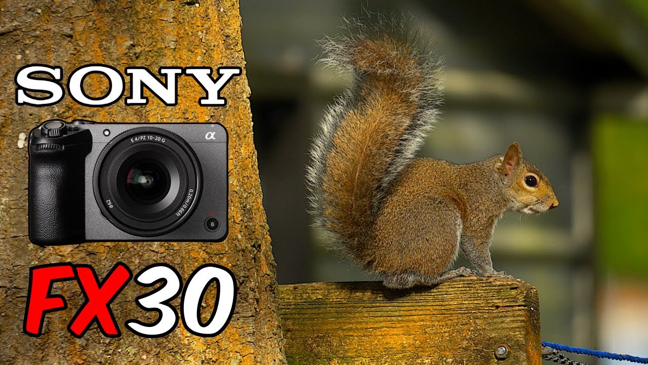 Sony FX30 with 70-350mm lens 4k HDR