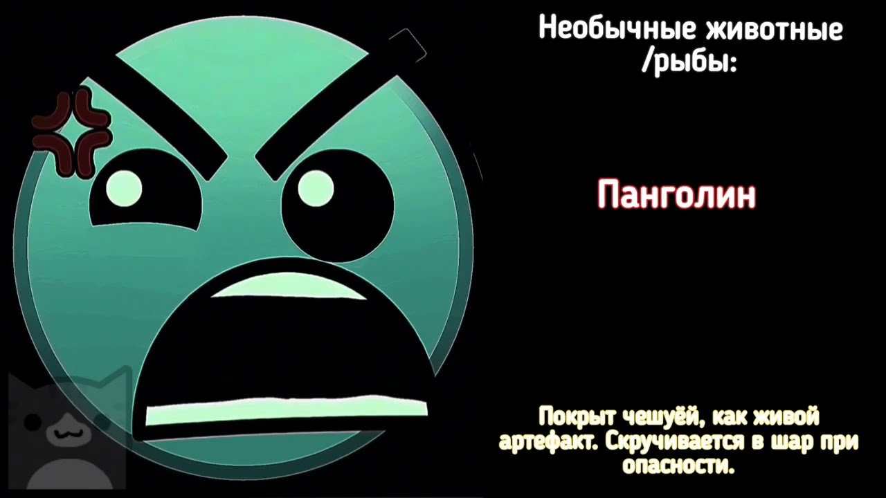 Необычные животные и рыбы // грязные лица ГД // #мемныйгд