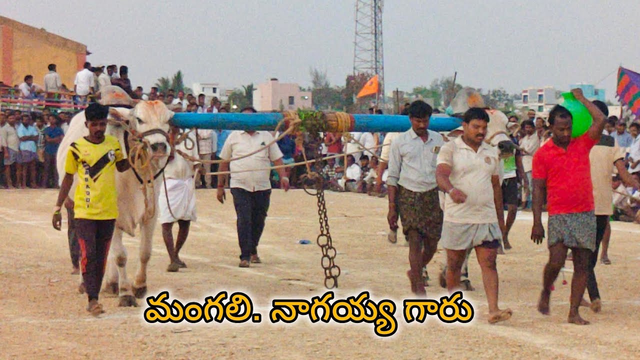 యాడికి సీనియర్స్ 7వ నాగయ్య గారు PR పల్లి గ్రామం నంద్యాల జిల్లా..