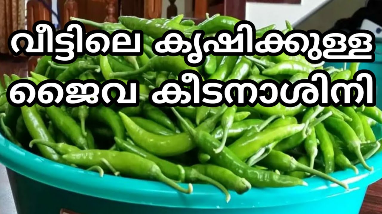 ഇനി കൃഷി നശിക്കില്ല | Jaiva keedanashini | jaiva krishi tips malayalam | Natural pest control home