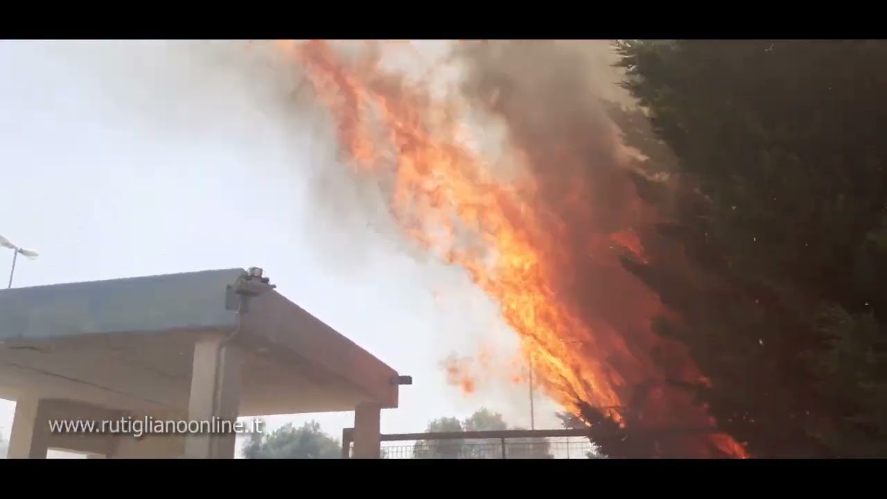 Incendio intorno piscina comunale e distributore di carburante