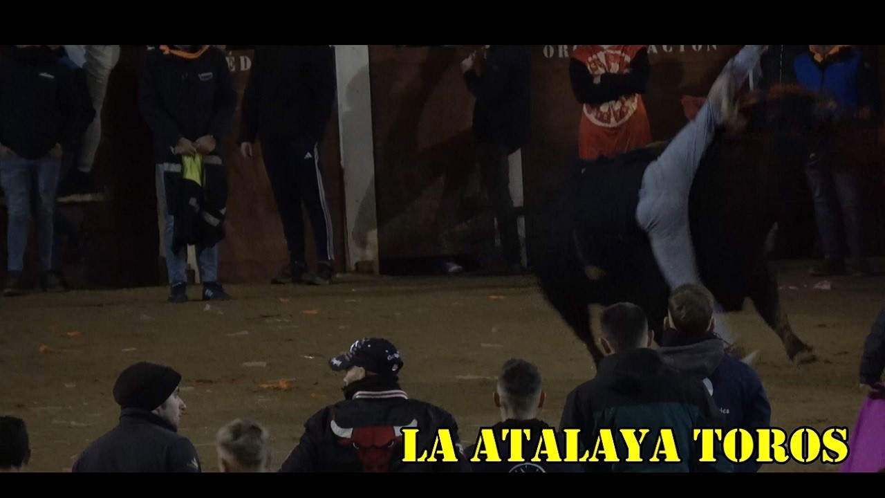 CAPEA NOCTURNA VIERNES DE CARNAVAL 2026 CIUDAD RODRIGO TOROS DE ANTONIO LOPEZ GIBAJA