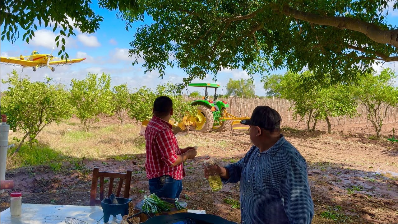 DELICIOSAS COSTILLAS AL DISCO EN EL CAMPO ¡¡SALSA DE OSTION Y MIEL!! || RUTA LA NUEVE
