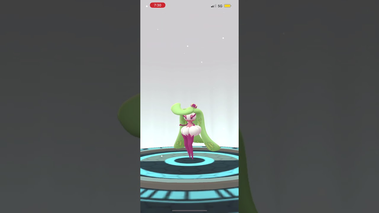 Steene Evolves