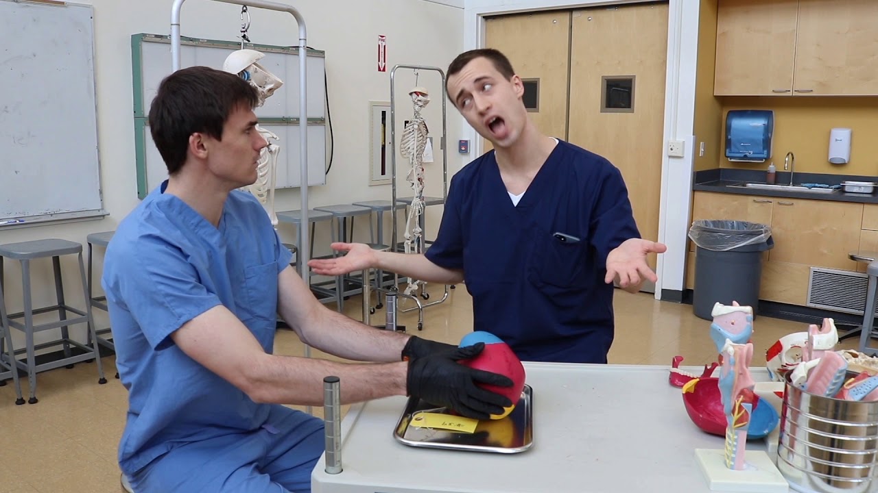 NYMC 2021 - Med School Rules (New Rules Parody)