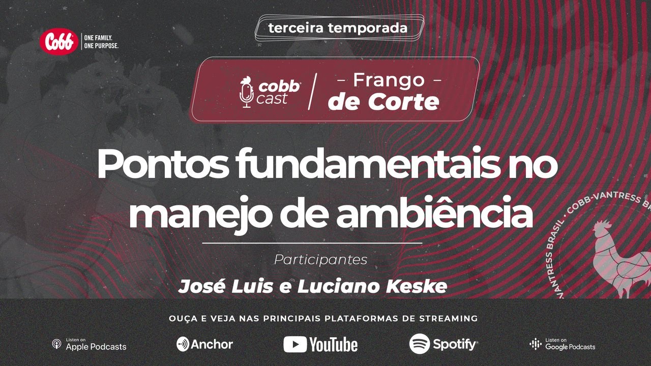 #03 Pontos fundamentais no manejo de ambiência
