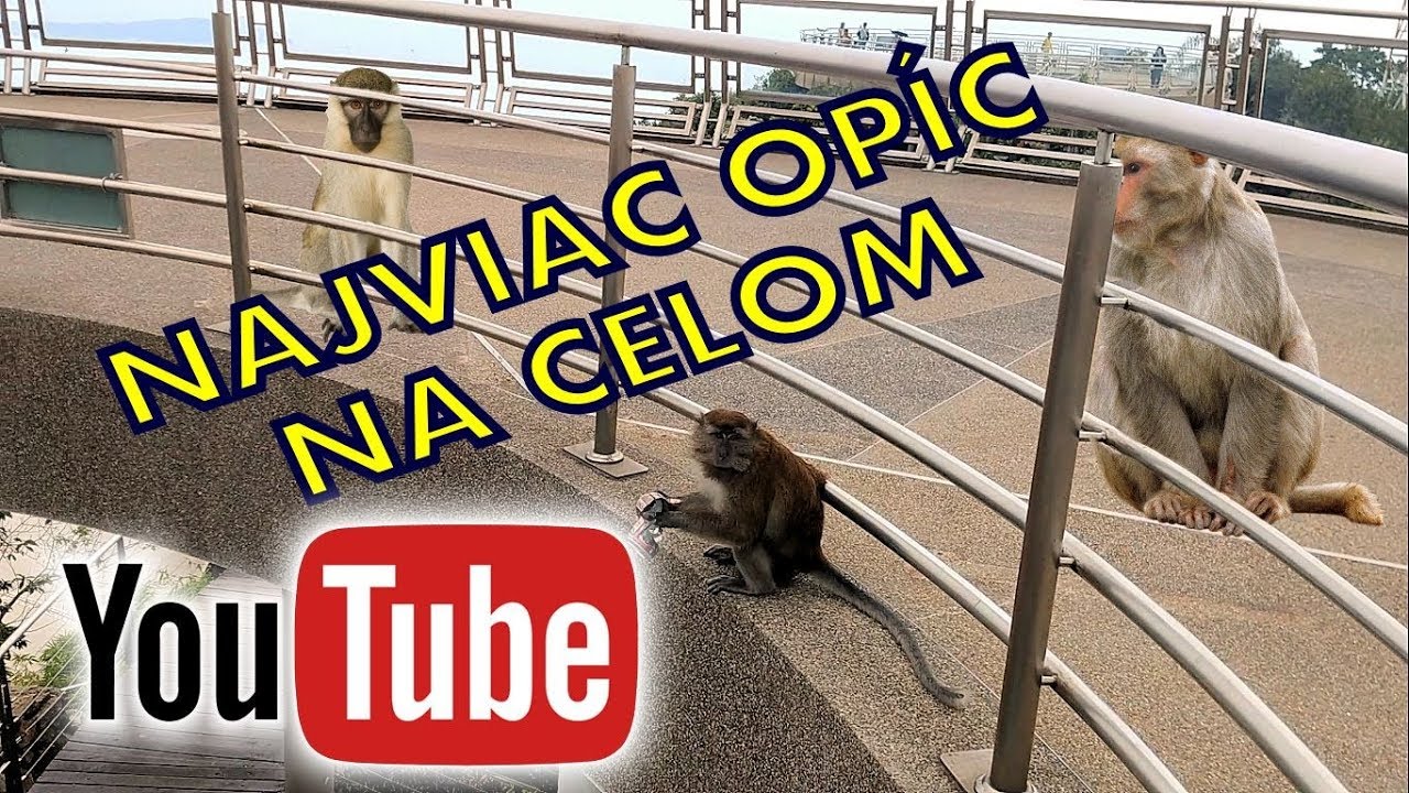1000 OPÍC | Street Food ochutnávka | Langkawi & Ázia