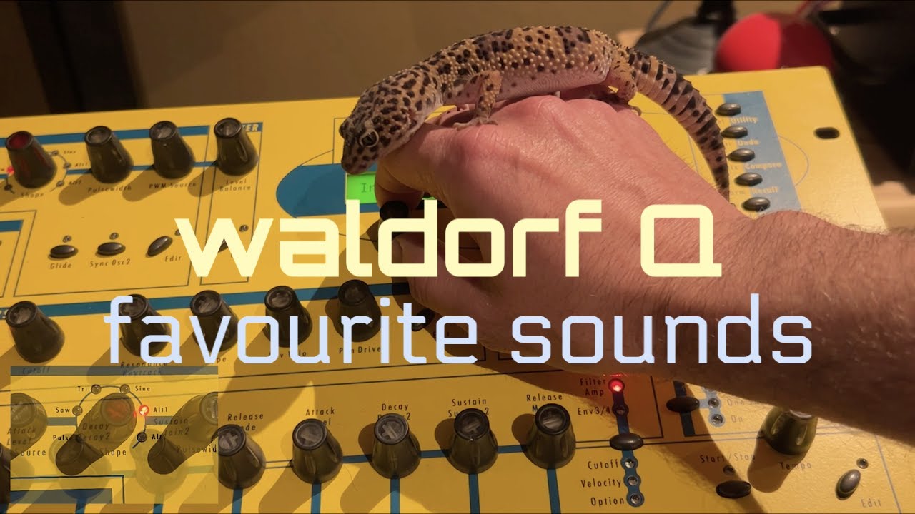 Waldorf Q - favourite sounds