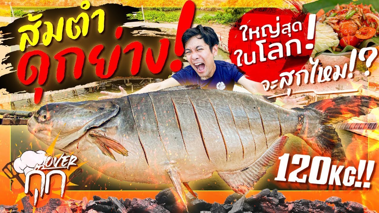 ส้มตำดุกย่างใหญ่ที่สุดในโลก!  ด้วยปลาบึกหัน 120KG ! คิดว่าจะสุกไหม!? [สาระตั้ม-Thumbntk]