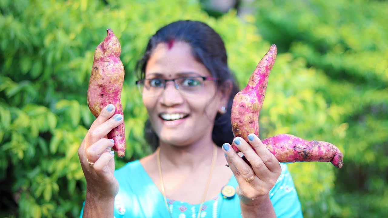 വിരുന്നുകാർ വരെ ഞെട്ടും!😱 മധുരക്കിഴങ്ങ് ഇങ്ങനെ ചെയ്താൽ 💯👌 | Amazing Sweet Potato Special Shake