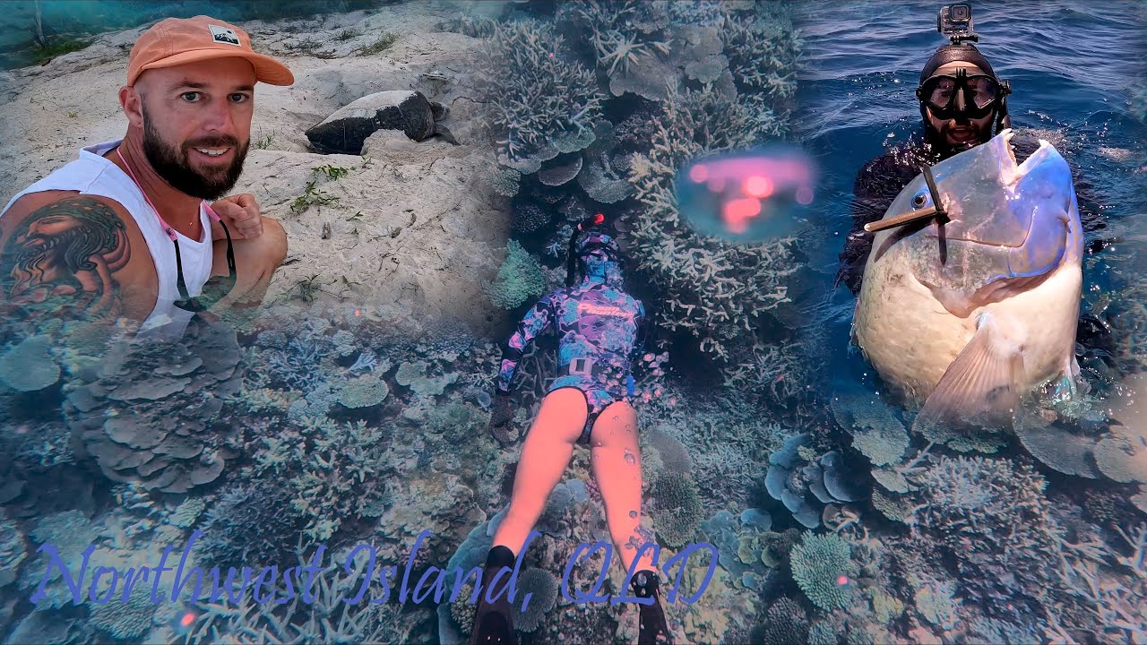 Northwest island - Camping in paradise, Nesting turtles and spearfishing the Great Barrier Reef