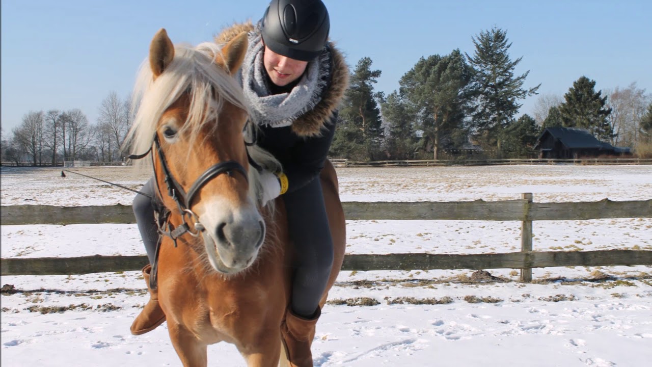 Pony Park Padenstedt März WE 18