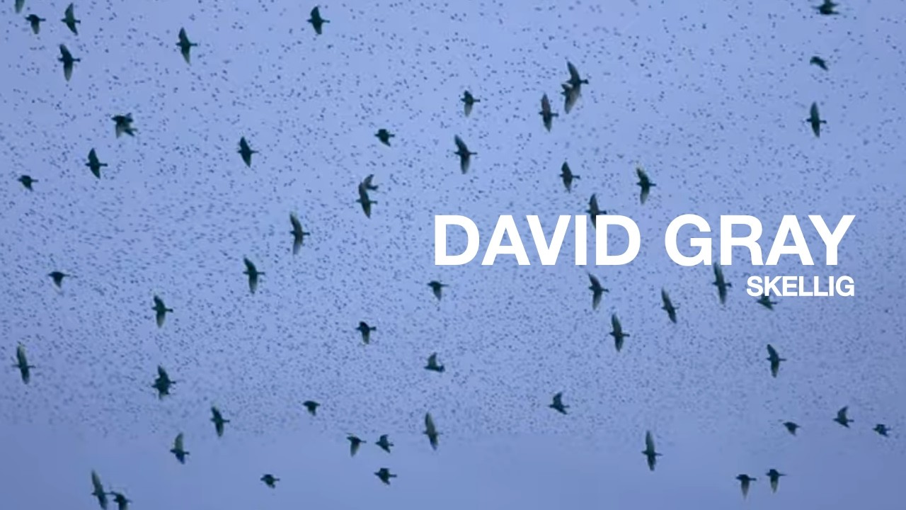 DAVID GRAY - Skellig (Official Music Video)