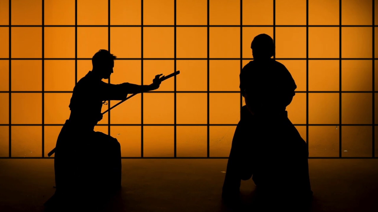 Tenshinsho Jigen ryu Budo