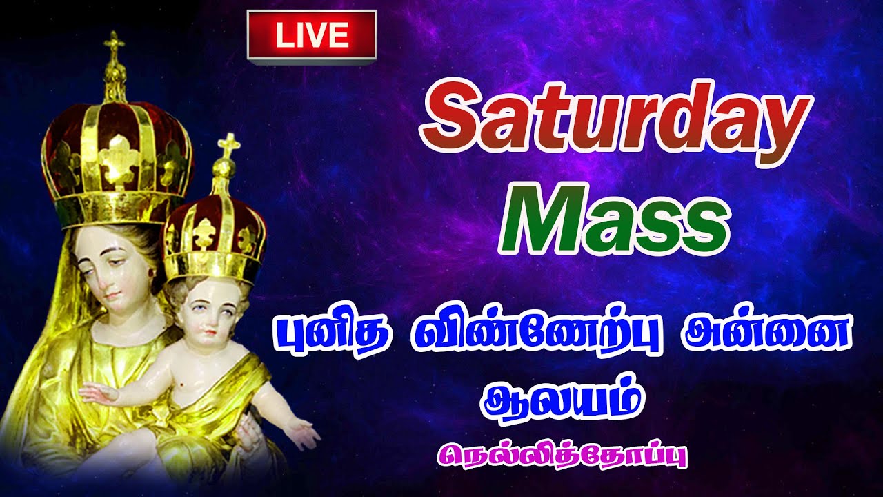 🔴LIVE ✠ 07-02-2026 ✠சனிக்கிழமை மாலை 05:30 மணி திருப்பலி ✠புனித விண்ணேற்பு அன்னை ஆலயம் நெல்லித்தோப்பு