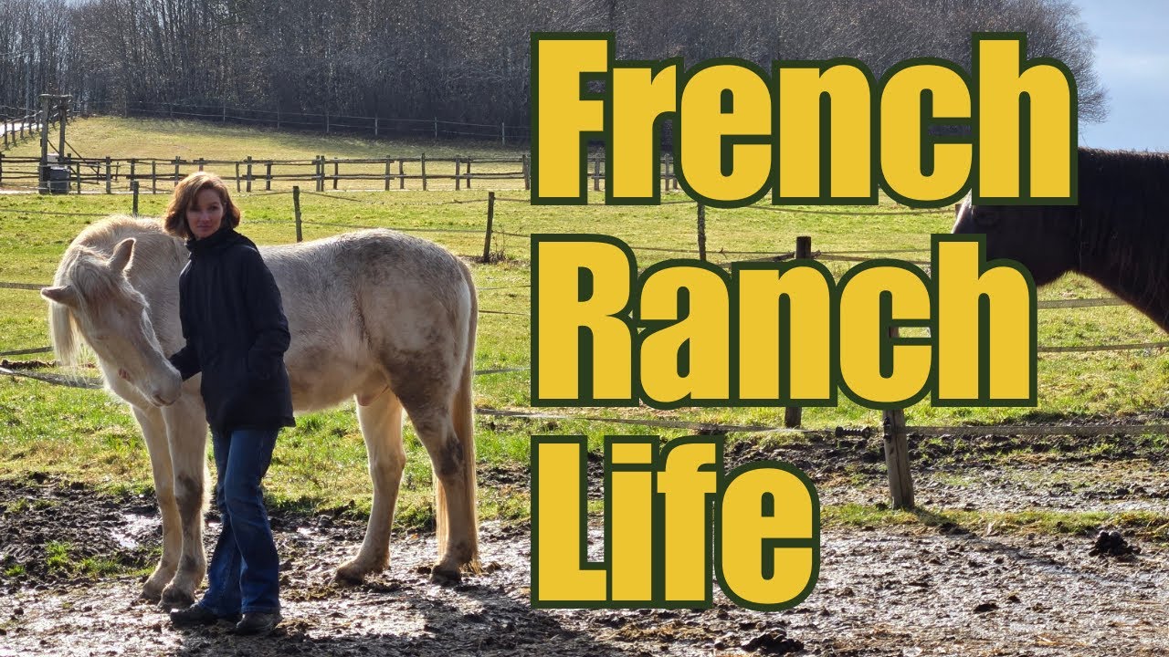 Americans, Horses, and an Unexpected Ranch in France