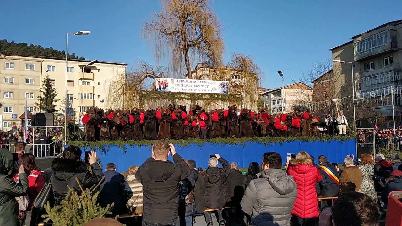 Ursul din Leorda, Comanesti 2019 !