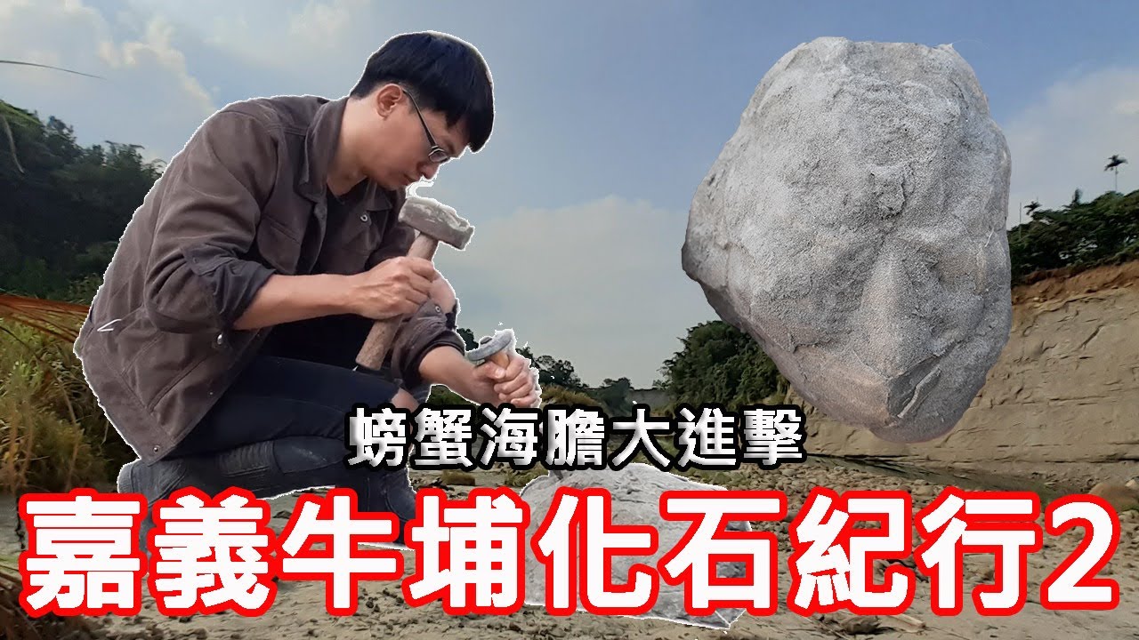 海膽、螃蟹化石大量出土!!!嘉義牛埔化石紀行2|方塊酥