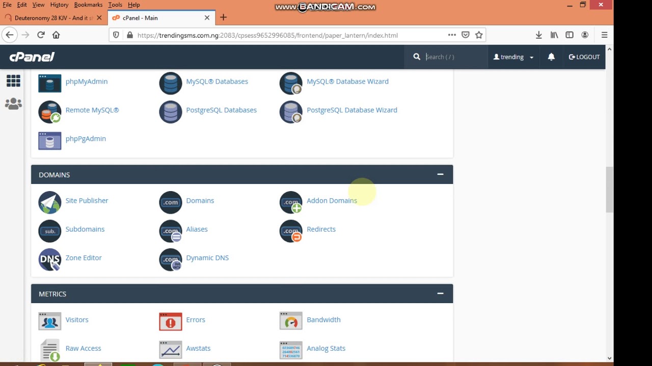 How to backup website files and database