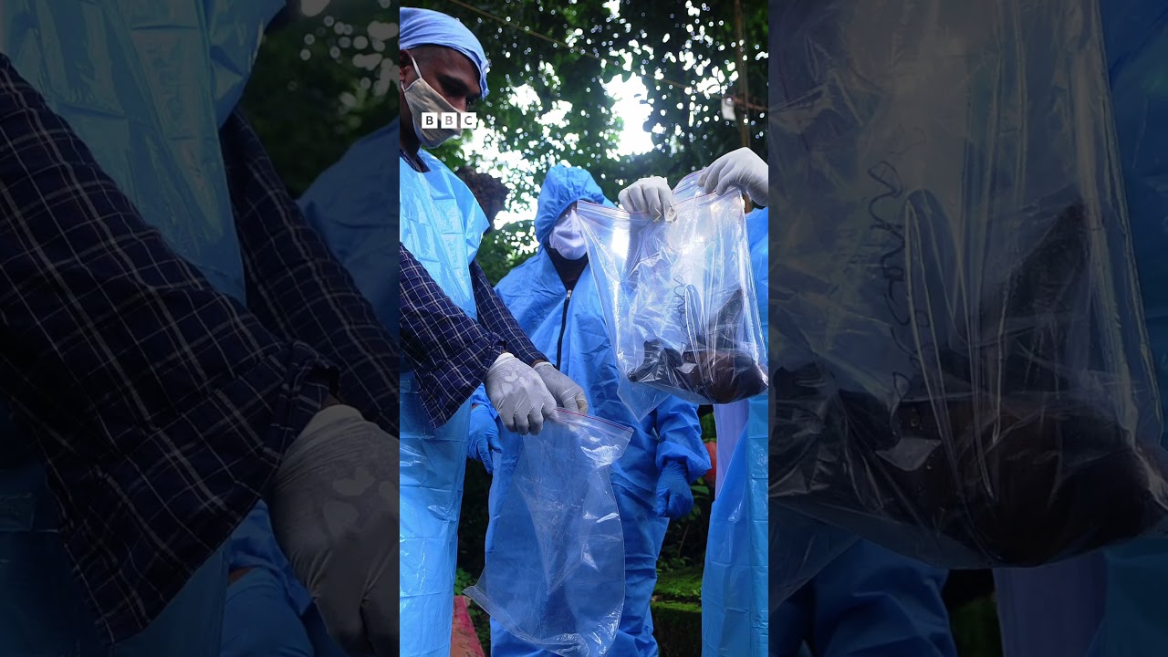 What is Nipah Virus and how does it spread? - BBC URDU