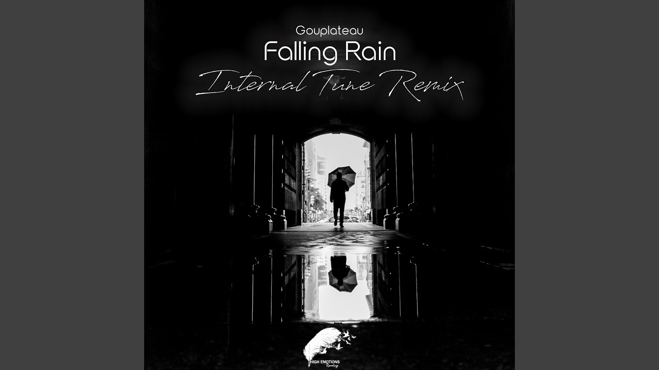 Falling Rain (Internal Tune Remix)
