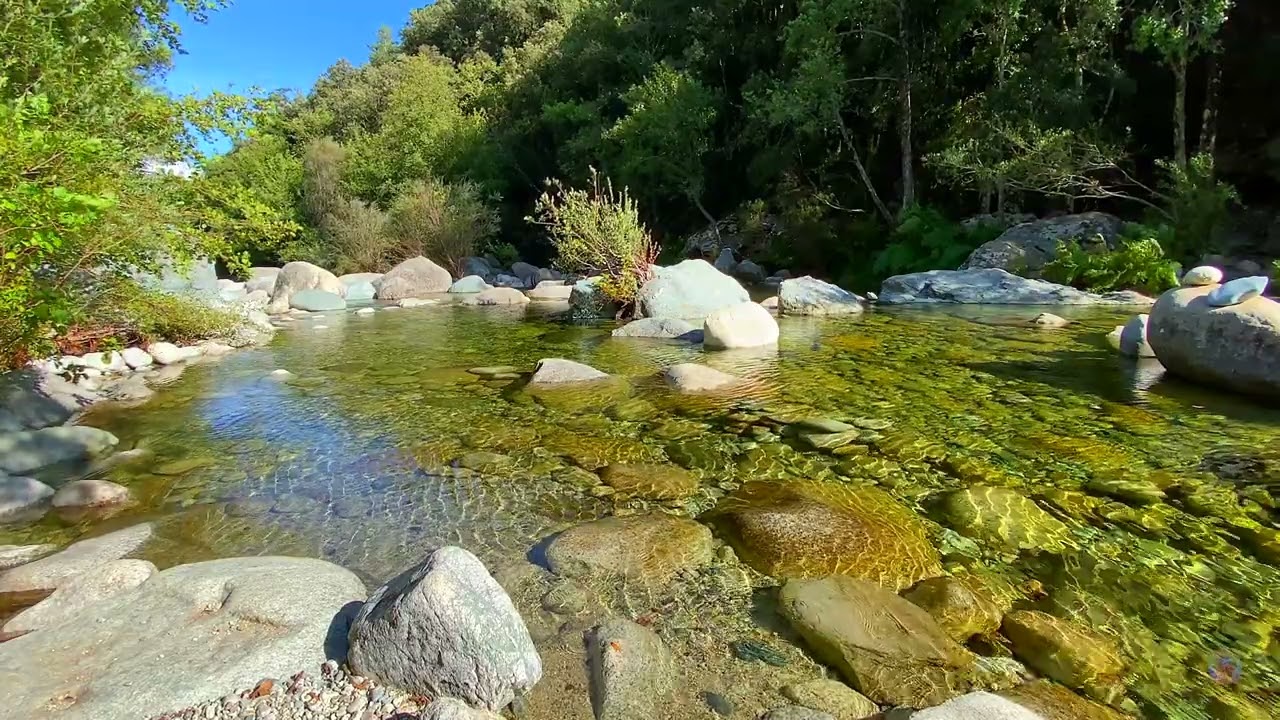 Au cœur de la montagne corse, à Corte ( haute Corse ) au bord de la rivière de la Restonica