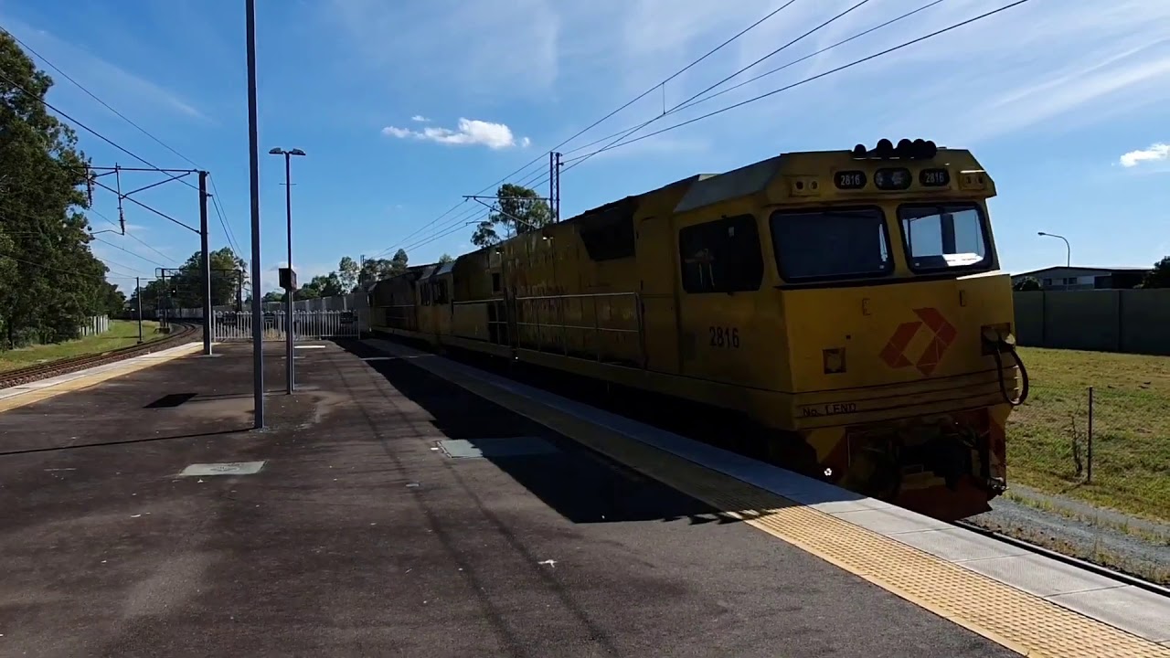 Hornshow/Long Blast Compilation Part 3.