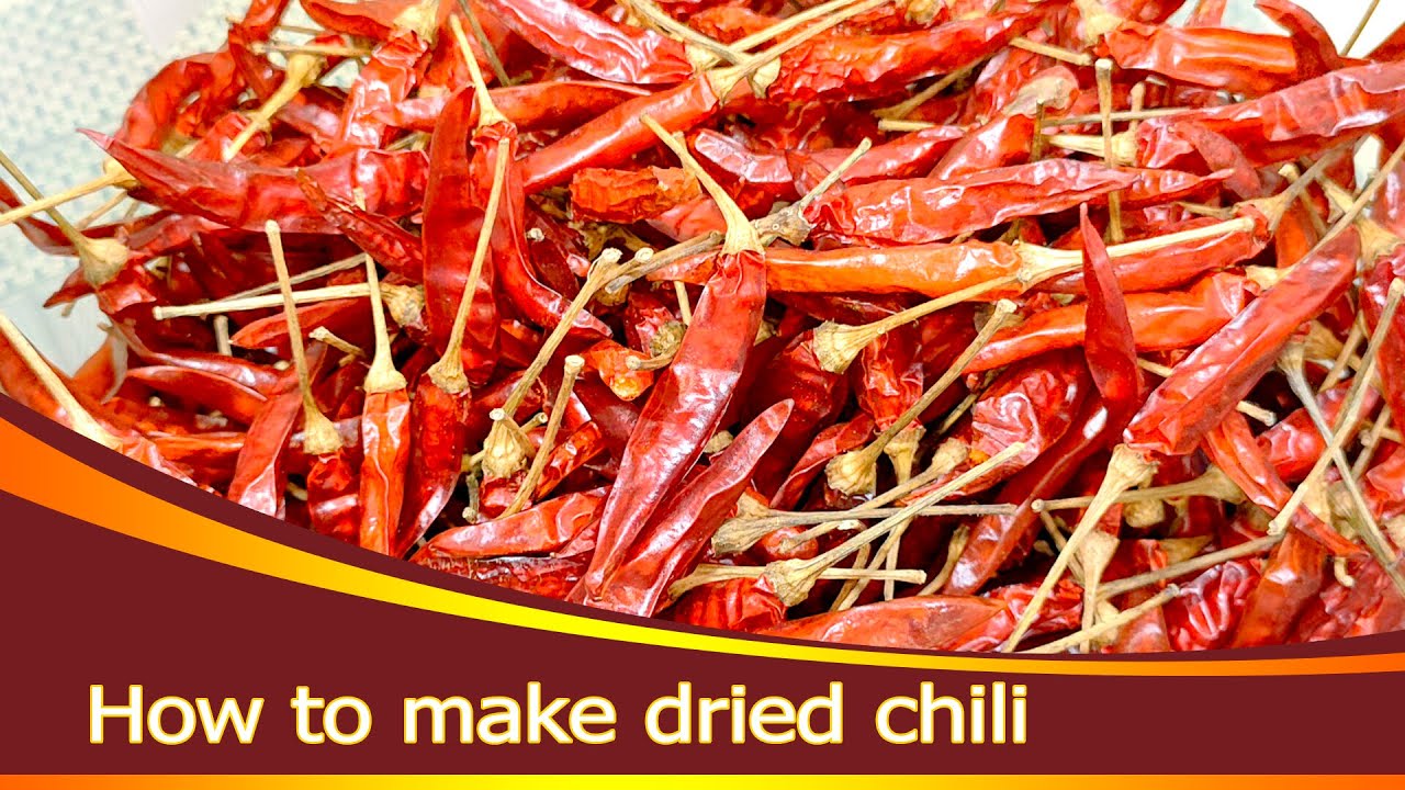 How to make dried chili | វិធីធ្វើម្ទេសក្រៀម | วิธีทำพริกแห้ง