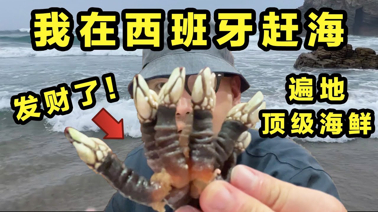 发财了！在西班牙赶海，遍地都是顶级海鲜！味道鲜美吃不够！