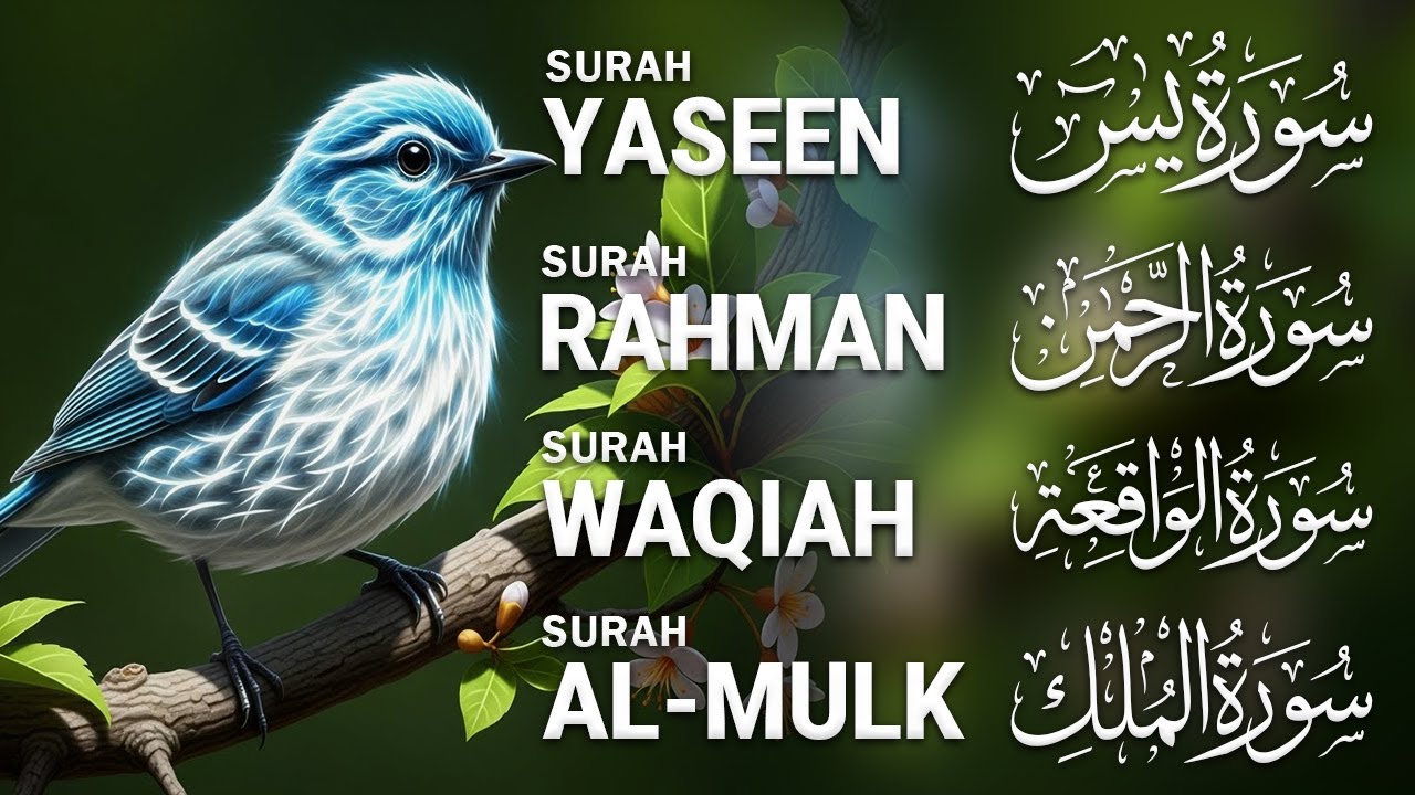 The Best Recitation Surah Yaseen Yasin Surah Rahman Surah Waqiah Surah Mulk | By Alaa Aqel -17