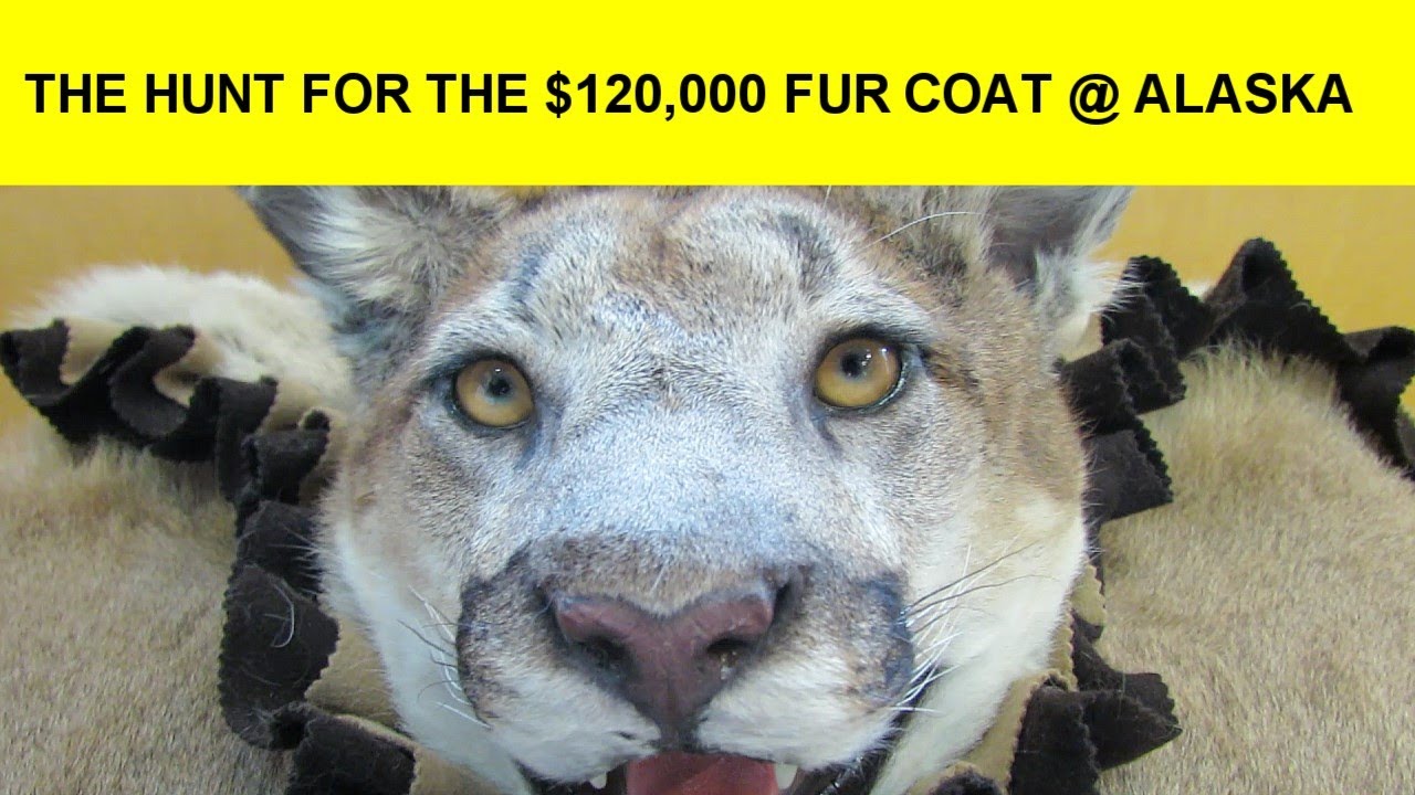 The $120,000 Coat in  Ketchikan Alaska?!