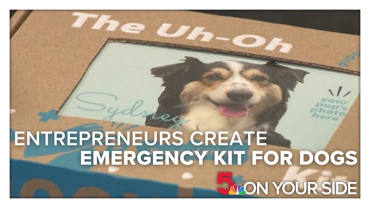 St. Louis-area entrepreneurs create at-home emergency kit for dogs